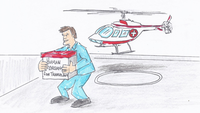 Participate in the organ donor program